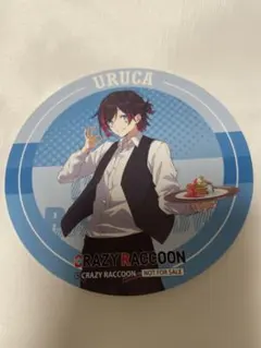crazy raccoon うるか