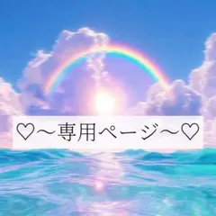 nichi-shop様 リクエスト 3点 まとめ商品