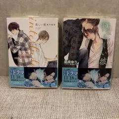 interlude、憎らしい彼　美しい彼2 凪砂良ゆう / 葛西リカコ　2冊