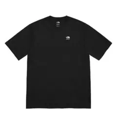 Supreme The North Face Mountains Tee コラボ