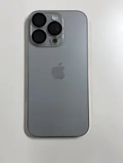 Apple スマートフォン本体