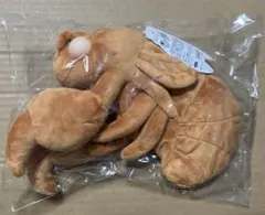 Item thumbnail for item 53bd51bf-ac0e-4f87-9ac4-691f37378eac