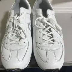 GERMAN TRAINER / ジャーマントレーナー