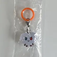 TRUZ めじるしアクセサリー　BONBON