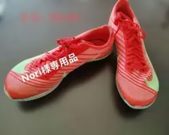 【Nori様専用品】エアズームマックスフライ２ 【パンクなし】ピン＆収納袋付き