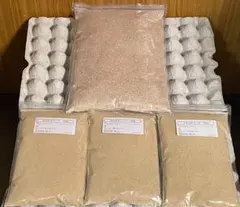 Item thumbnail for item fe0306a8-78ea-4254-b710-f971d12a906d