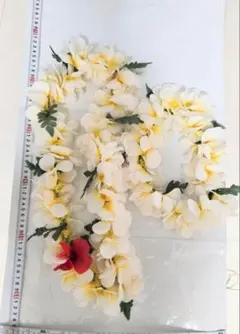 Item thumbnail for item 622bad3e-1a95-4aac-89e3-bf0c1493d2db