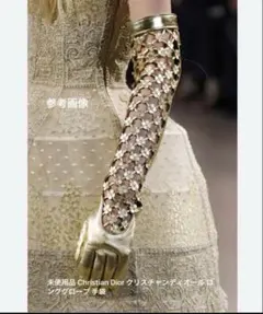 Christian Dior クリスチャンディオール ロンググローブ 手袋