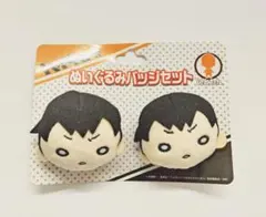 日向＆影山(四字熟語) にとたん ボールチェーン付ぬいぐるみ2個セット