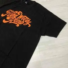 TULTEX プリントTシャツ Lサイズ メンズ　レディース