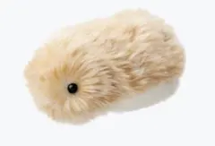 Item thumbnail for item 6b019042-2745-4074-9d84-47139f6b1670