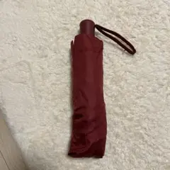 Item thumbnail for item 1d6b21e1-5add-4178-b9cb-e92018e548e6