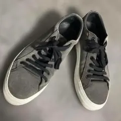 Item thumbnail for item b783ca2a-3503-4ec0-8be0-e93235fe77c4