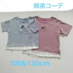 Sawa様 リクエスト 2点 まとめ商品