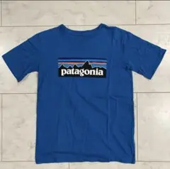 パタゴニアTシャツのサムネイル
