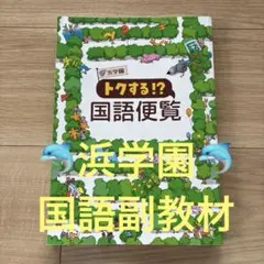 浜学園　国語　6年　テキスト　復習テスト　日曜錬成　Vクラス 浜学園 最新版 2024年 小6 復習テスト Vクラス 算国理 1