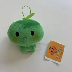 みかんぼうや マスコット すだちちゃんのサムネイル