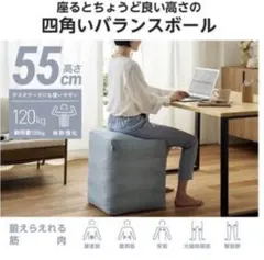 【未使用新品】エレコム 四角いバランスボール55cm Blue、インテリア機能優のサムネイル