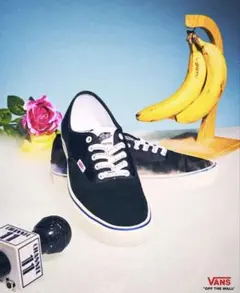 VANS × TRIPSTER Comfycush Authentic 29.0