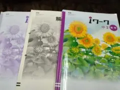 iワーク　中2　数学　iワークプラス