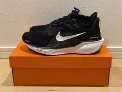 【短期出品】NIKE エア ズーム ペガサス 41 ワイド シューズ