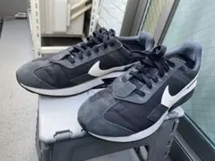 NIKE エアマックス　プリデイAIR MAX PRE-DAY 29cm