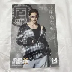 HiGH&LOW THE WORST X 塩野瑛久 小田島有剣 ブロマイド