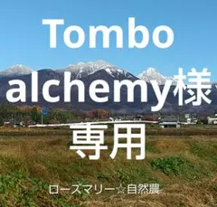 Tombo alchemy様専用