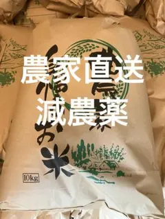 奈良県産ヒノヒカリ 10キロ　令和 7年産のサムネイル