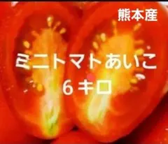 ミニトマトあいこ６キロのサムネイル