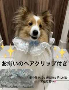 あみーご様専用ページ 犬用スタイ2つ 水色,紫