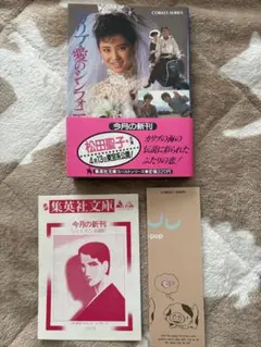 レーザーディスク カリブの愛のシンフォニー 松田聖子主演作品 再生
