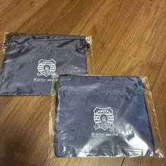 Item thumbnail for item 190e666a-3703-416f-b869-b2387f6a9f7f