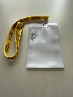 Item thumbnail for item 0287b399-39ca-45cd-b27f-cef0ca934db5