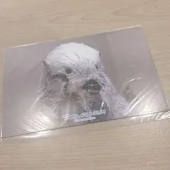 yellーma様 リクエスト 2点 まとめ商品