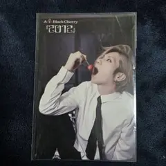 2026年最新】acid black cherry yasuの人気アイテム - メルカリ