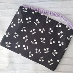 Item thumbnail for item 08169830-0f37-40f3-a6d6-c9613c343e24