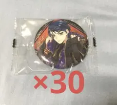 たけぴっぴ様専用