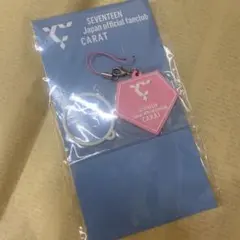 SEVENTEEN セブチ FC 更新特典