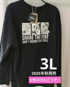 新品タグ付き　裏起毛トレーナーDisney 3L