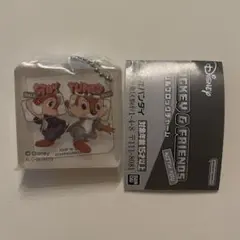 ディズニー　アクリルブロックチャーム　チップ　デール　キーホルダー　ガチャガチャ