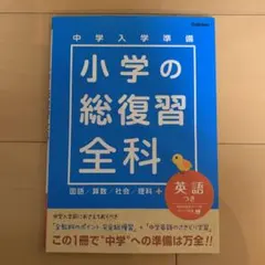 Item thumbnail for item 36b9b07e-4777-49f2-8773-9d4095cf8d41