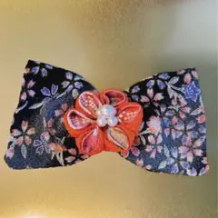 Item thumbnail for item a945cef1-f3e5-4367-a47e-30f46f499f01