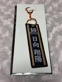 タイトーくじ ハイキュー G賞 フライトタグ 日向翔陽