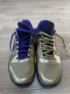 Nike Kobe 5 Protro "Hall Of Fame"