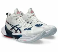 Item thumbnail for item 62a74429-b829-4e1c-b337-0deb6b7958b3