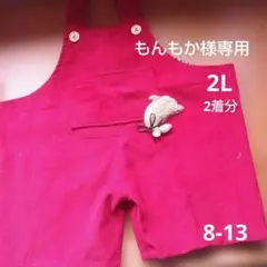 8-13 もんもか様専用♡モンチッチ2L用服