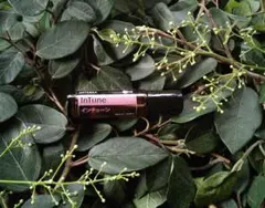❗️誤開封 未使用 最安】ドテラ ローズタッチ 10ml 期限29年2月 