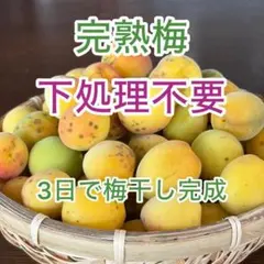 完熟ありがと梅　300g　早っ！梅干が最短1日で完成！ 下処理不要 残りわずかのサムネイル