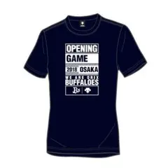 千葉ロッテマリーンズ 記念グッズ